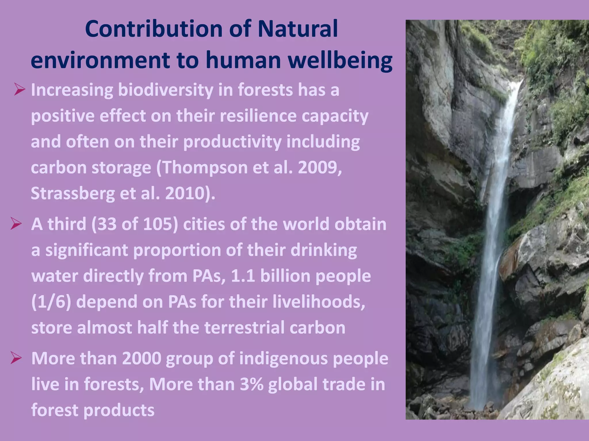  Increasing biodiversity in forests has a
positive effect on their resilience capacity
and often on their productivity including
carbon storage (Thompson et al. 2009,
Strassberg et al. 2010).
 A third (33 of 105) cities of the world obtain
a significant proportion of their drinking
water directly from PAs, 1.1 billion people
(1/6) depend on PAs for their livelihoods,
store almost half the terrestrial carbon
 More than 2000 group of indigenous people
live in forests, More than 3% global trade in
forest products
Contribution of Natural
environment to human wellbeing
 