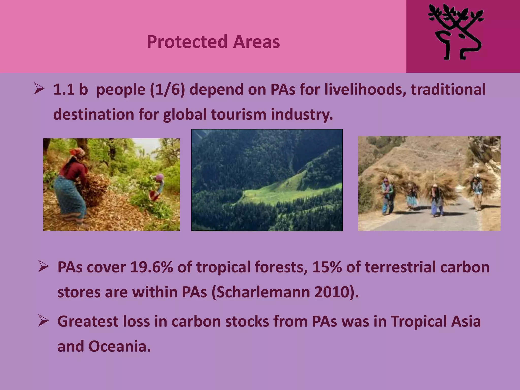 Protected Areas
 1.1 b people (1/6) depend on PAs for livelihoods, traditional
destination for global tourism industry.
 PAs cover 19.6% of tropical forests, 15% of terrestrial carbon
stores are within PAs (Scharlemann 2010).
 Greatest loss in carbon stocks from PAs was in Tropical Asia
and Oceania.
 
