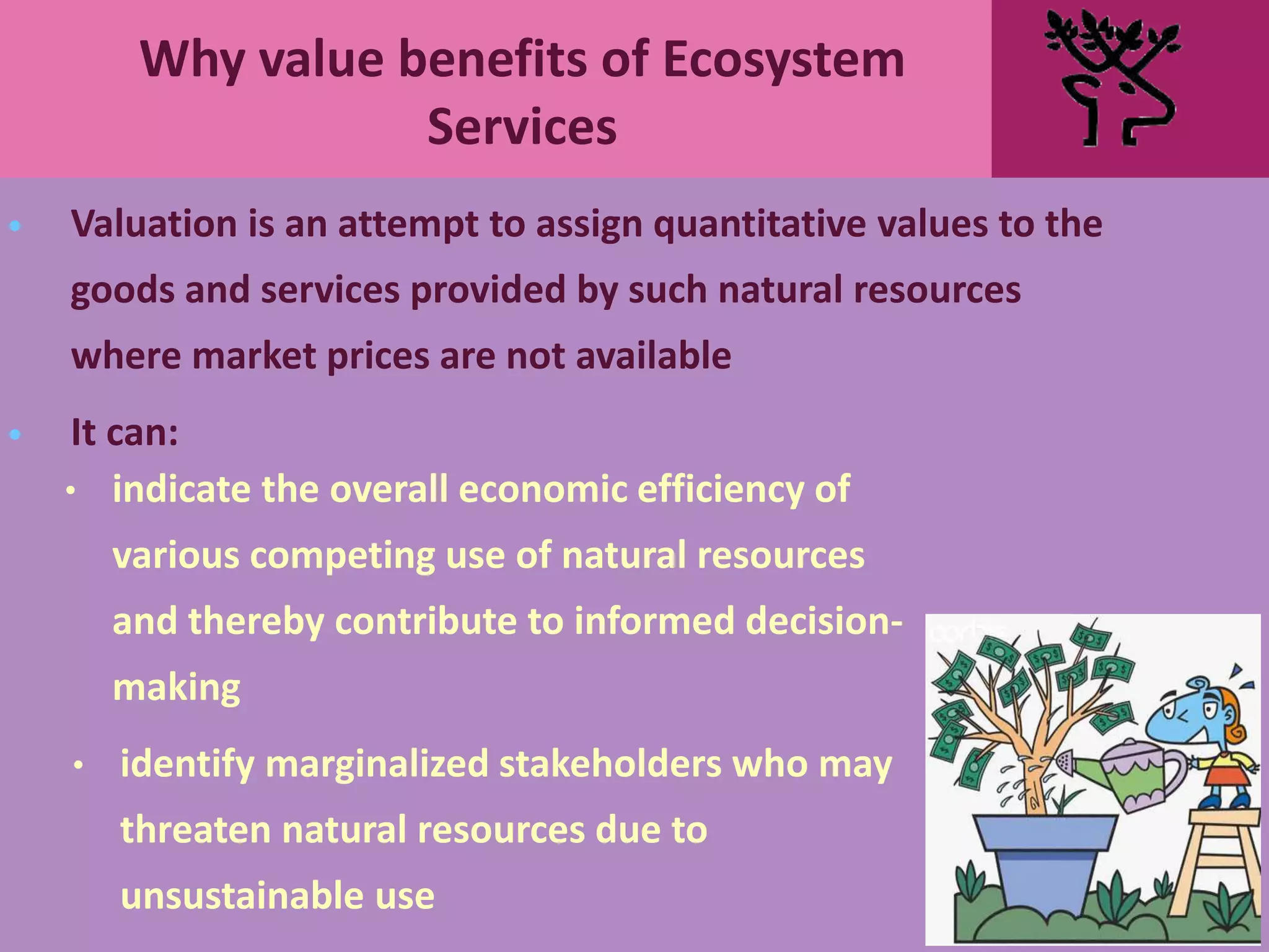 Why value benefits of Ecosystem
Services
• Valuation is an attempt to assign quantitative values to the
goods and services provided by such natural resources
where market prices are not available
• It can:
• indicate the overall economic efficiency of
various competing use of natural resources
and thereby contribute to informed decision-
making
• identify marginalized stakeholders who may
threaten natural resources due to
unsustainable use
 