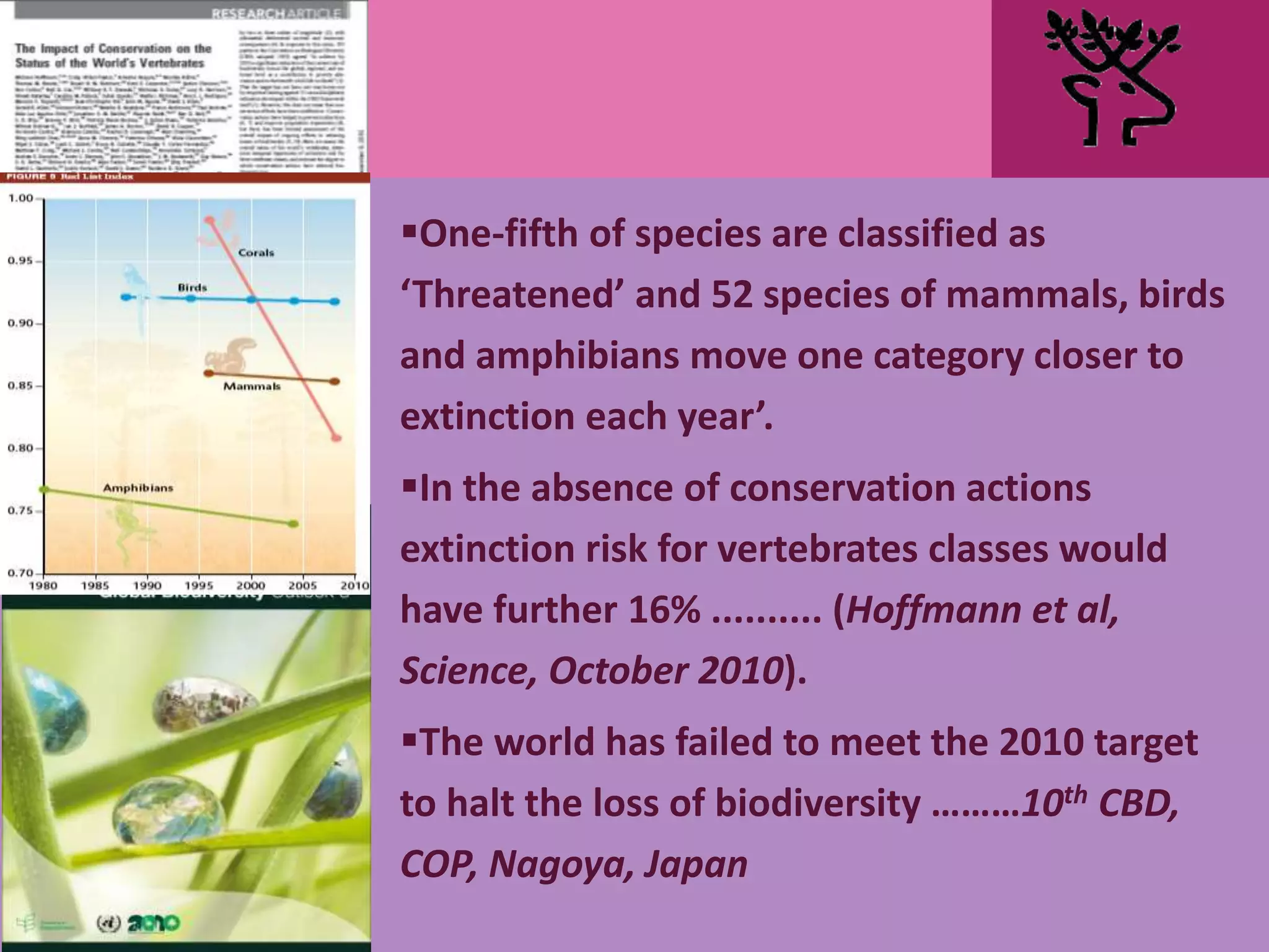 One-fifth of species are classified as
‘Threatened’ and 52 species of mammals, birds
and amphibians move one category closer to
extinction each year’.
In the absence of conservation actions
extinction risk for vertebrates classes would
have further 16% .......... (Hoffmann et al,
Science, October 2010).
The world has failed to meet the 2010 target
to halt the loss of biodiversity ………10th CBD,
COP, Nagoya, Japan
 