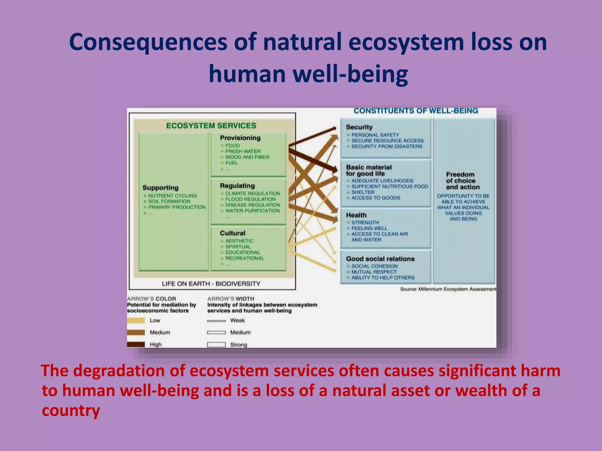 Consequences of natural ecosystem loss on
human well-being
The degradation of ecosystem services often causes significant harm
to human well-being and is a loss of a natural asset or wealth of a
country
 