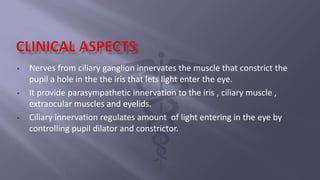 Cilliaryppt.ruchipptx12345678document910 | PPTX