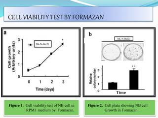 CELL VIABILITY TEST BY FORMAZAN
Figure 1. Cell viability test of NB cell in
……………………. RPMI medium by Formazan.
Figure 2. Cell plate showing NB cell ……
……..Growth in Formazan .
SK-N-Be(2))
SK-N-Be(2)
b
Time
 