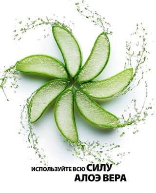 АЛОЭВЕРА
ИСПОЛЬЗУЙТЕВСЮСИЛУ
 