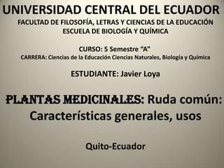 UNIVERSIDAD CENTRAL DEL ECUADOR FACULTAD DE FILOSOFÍA, LETRAS Y CIENCIAS DE LA EDUCACIÓN ESCUELA DE BIOLOGÍA Y QUÍMICA CURSO: 5 Semestre “A”  CARRERA: Ciencias de la Educación Ciencias Naturales, Biología y Química ESTUDIANTE: Javier Loya PLANTAS MEDICINALES: Ruda común:  Características generales, usos Quito-Ecuador 