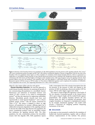 ACS Synthetic Biology                                                                                                                           Research Article




Figure 5. Detection of the boundary between two populations of cells. Both populations sense the presence of the signaling molecule. The “source”
cells (cyan) constitutively produce the signal, and the “sink” cells (yellow) constitutively degrade it. Because of degradation, only the sink cells on the
boundary of the two populations detect signal. (a) Three snapshots of a simulation of the domain boundary detector. Cells are constrained to a
single plane in a microﬂuidic channel. Intensity of color indicates ﬂuorescent protein levels in individual cells. Background indicates AHL level in the
environment with white lowest and black highest. (b) Diagram of the simulated system. AHL (gray hexagons) acts as the signaling molecule, which
passively diﬀuses across the cell membrane. LuxI synthesizes AHL, and AiiA degrades it. LuxR binds internal AHL and induces expression of a
ﬂuorescent reporter (CFP for sources or YFP for sinks). (c) The system of diﬀerential equations used to implement the simulation in CellModeller.
Total computation time 20 min. (See Supporting Information for a video of this simulation.)

where C is the matrix of ﬂow rates for each species.                             LuxR, a transcription factor that activates transcription from the
   Domain Boundary Detection. We used this approach to                           lux promoter in the presence of AHL and respond to the
model domain boundary detection, by examining the growth of                      presence of AHL by producing a ﬂuorescent protein (CFP for
two communicating cell populations in a microﬂuidic channel.                     source, YFP for sink). Figure 5 gives more detail.
Maintenance and reﬁnement of boundaries between such                                The result is a band of high YFP expression at the border of
cohorts of cells is known to be critical in developmental                        the two domains. Constrained growth in the channel forces
systems32 and thus also important for engineering multicellular                  cells to grow along its length, and the marked border appears
behaviors. Microﬂuidic growth channels have been used                            perpendicular. The irregular boundary between the two
experimentally to study bacterial biophysics15 and to observe                    domains shows the eﬀect of individual cell geometry. Such
synthetic genetic circuits.10 Like the system constructed by                     irregular boundaries are sharpened in developmental systems
Tabor et al.,25 this system is designed to detect an edge                        by, for example, interdomain signaling.32 Our model could
between cell populations by sensing a diﬀusing signal, but it                    provide a framework for designing synthetic sharpening
additionally incorporates degradation of the signaling molecule                  mechanisms of this kind.
to decrease the width of the edge detected. One population, the
source, constitutively produces LuxI, an intracellular enzyme
that synthesizes the signaling molecule AHL. The other
                                                                                 ■    DISCUSSION
                                                                                 In this paper we have presented a method for the simulation of
population, the sink, constitutively produces the intracellular                  bioﬁlm-scale bacterial populations, together with an eﬃcient
enzyme AiiA that degrades AHL. Both populations express                          software implementation of this method. The primary
                                                                           350                          dx.doi.org/10.1021/sb300031n | ACS Synth. Biol. 2012, 1, 345−352
 
