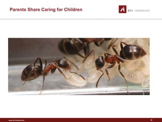 Parents Share Caring for Children 