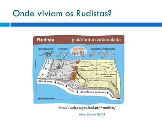 Rudistas
