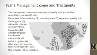 Year 1 Management Zones and Treatments
• Two management zones—one consisting of gravelly soils and another
consisting of non-gravelly soils
• Zones were delineated using ECa, assuming lower ECa represents gravelly soils
• Full irrigation (F):
attempt to eliminate
any water stress
• Conventional (C):
uniform irrigation
based on the
non-gravelly soil
• Deficit irrigation (D):
allow water stress during
less sensitive growth stages
• Non-irrigated (R): no irrigation
 