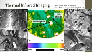 Thermal Infrared Imaging aerial image taken by AirScout
ground-based images taken using FLIR E60
non-irrigated
fully
irrigated
 