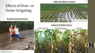 Effects of Over- or
Under Irrigating
Impact of Water Stress
Full Irrigation Deficit Irrigation Rainfed
Source: Jeff Golus
Runoff and Soil Erosion
Source: Pioneer.com
High Soil Water Content
 