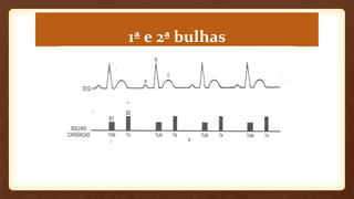 1ª e 2ª bulhas
 