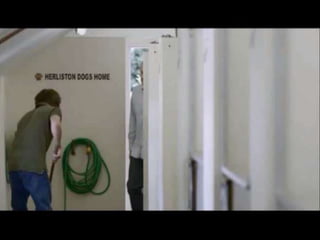 Ruídos naComunicação