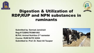 Digestion & Utilization of
RDP,RUP and NPN substances in
ruminants
Submitted by: Sarmad Jamshaid
Reg.# F23BNUTR3M01002
M.Phil. Animal Nutrition 2nd semester
Course: RUM NUTR 32204
Submitted to: Prof. Dr. Nasir Ali Tauqeer
 