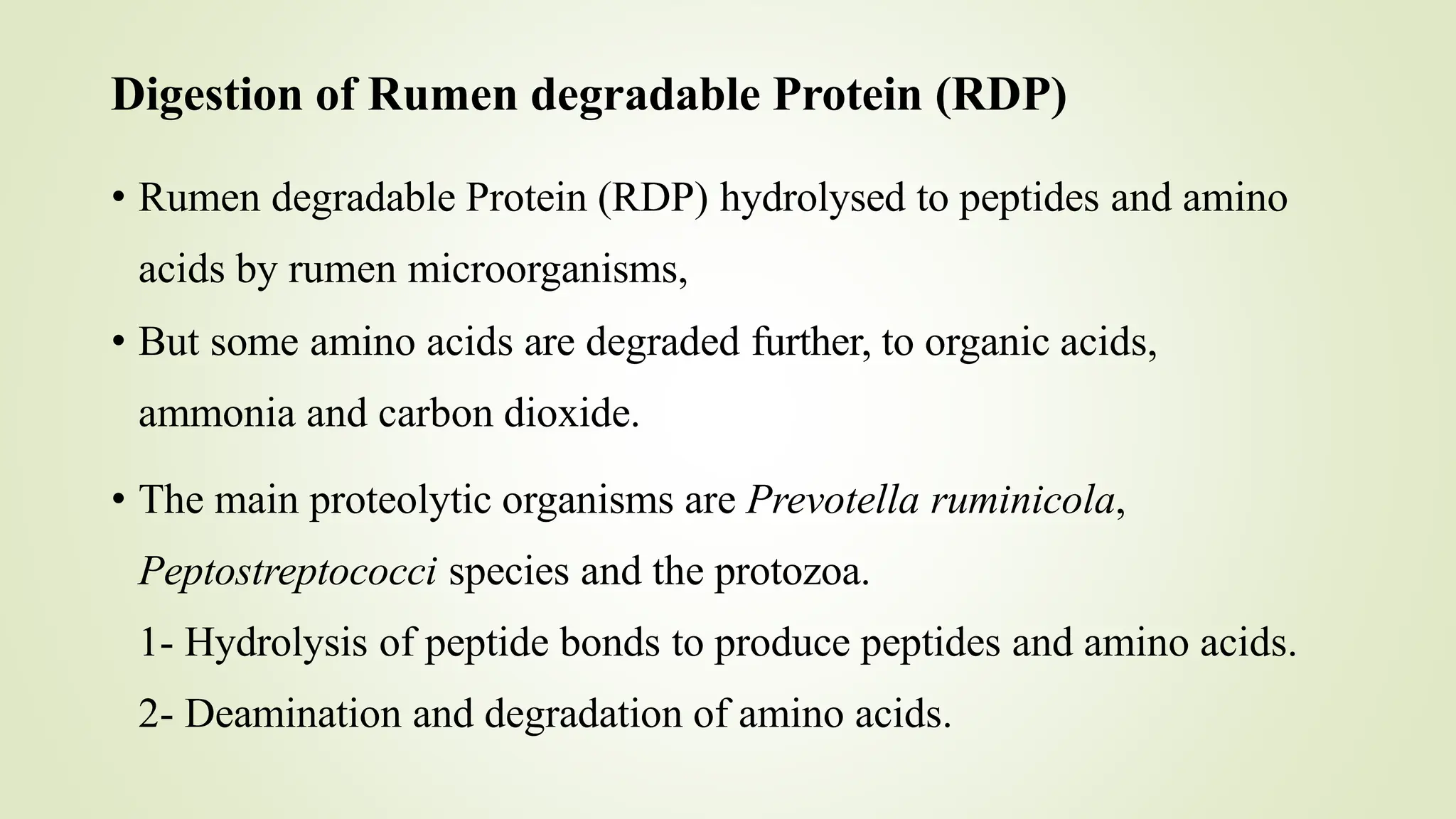 Protein Rumen RUDP and RDP.pptx rumin degradable protein | PPTX