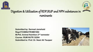 Digestion & Utilization of RDP,RUP and NPN substances in
ruminants
Submitted by: Sarmad Jamshaid
Reg.# F23BNUTR3M01002
M.Phil. Animal Nutrition 2nd semester
Course: RUM NUTR 32204
Submitted to: Prof. Dr. Nasir Ali Tauqeer
 