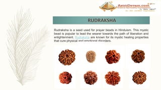 Rudraksha is a seed used for prayer beads in Hinduism. This mystic
bead is popular to lead the wearer towards the path of liberation and
enlightenment. Rudraksha are known for its mystic healing properties
that cure physical and emotional disorders.
 