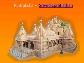 Rudraksha – Srivedicpratisthan
 