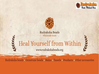 About us
Rudraksha Beads Wholesale Store is a one-stop shop for buying
genuine Indian, Nepali and Indonesian Rudraksha Bea...