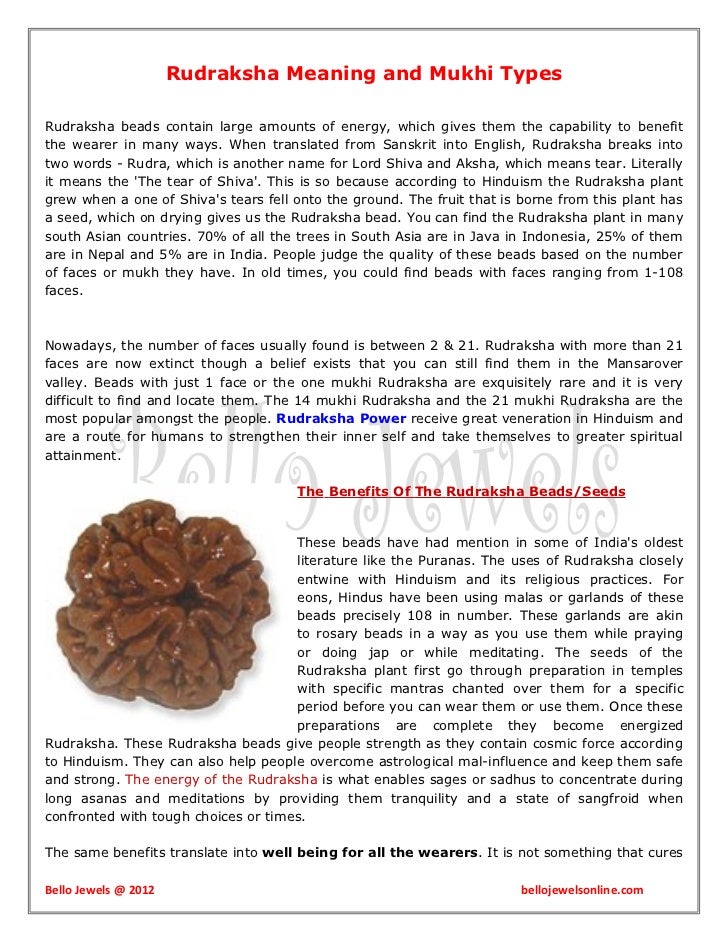 Rudraksha Meaning And Mukhi Types | rudraksha meaning and mukhi types Rudraksha Meaning And Mukhi Types | rudraksha meaning and mukhi types
