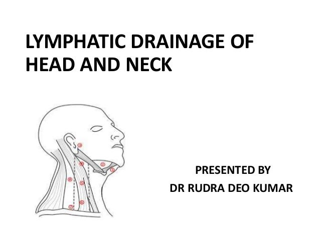 lymphatics of face