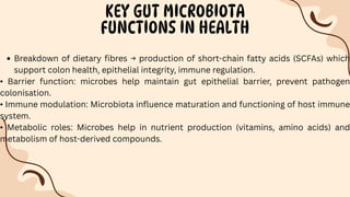 KEY GUT MICROBIOTA
FUNCTIONS IN HEALTH
Breakdown of dietary fibres → production of short-chain fatty acids (SCFAs) which
support colon health, epithelial integrity, immune regulation.
• Barrier function: microbes help maintain gut epithelial barrier, prevent pathogen
colonisation.
• Immune modulation: Microbiota influence maturation and functioning of host immune
system.
• Metabolic roles: Microbes help in nutrient production (vitamins, amino acids) and
metabolism of host-derived compounds.
 
