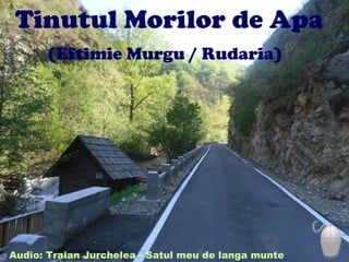 Tinutul Morilor de Apa
(Eftimie Murgu / Rudaria)
Audio: Traian Jurchelea - Satul meu de langa munte
 