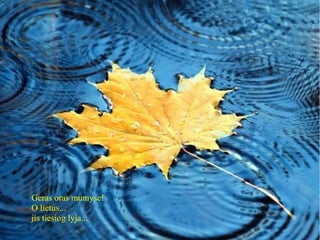 Geras oras mumyse!
O lietus...
jis tiesiog lyja...
 