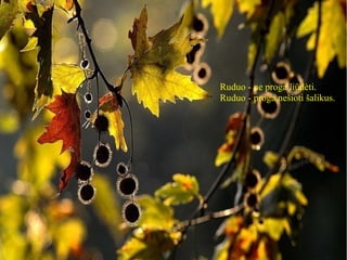 Ruduo - ne proga liūdėti.
Ruduo - proga nešioti šalikus.
 