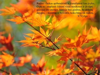 Ruduo - laikas apibendrinti ir išanalizuoti kas įvyko.
O po to - nuplauti liūtimi visas nesėkmes ir įkvėpti
gaivaus oro ateities, kurioje bus giedras, be debesų
dangus, - skaidrus ir besvoris, koks būna tik rudenį.
V.Vyžga
 