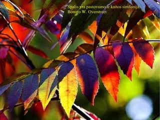 Spalis yra pastovumo ir kaitos simfonija.
Bonaro W. Overstreet
 