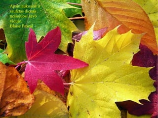 Apsiniaukusias ir
saulėtas dienas
nešiojuosi savo
viduje.
Blaise Pascal
 