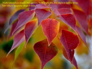 Nieko pasaulyje negali būti geriau, kaip grįžti ten, kur myli ir laukia tavęs,
kur šilta ir languose dega šviesa.
 