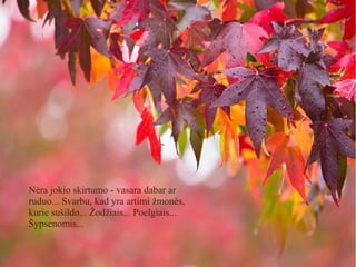 Nėra jokio skirtumo - vasara dabar ar
ruduo... Svarbu, kad yra artimi žmonės,
kurie sušildo... Žodžiais... Poelgiais...
Šypsenomis...
 