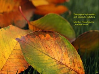 Pamąstymai apie rudenį,
rasti interneto platybėse
Muzika: Frank Sinatra
„Autumn leaves”
vtr
 