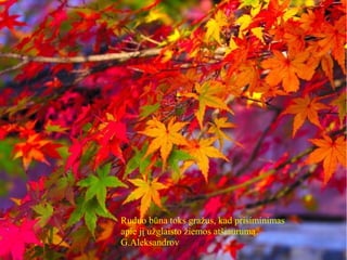 Ruduo būna toks gražus, kad prisiminimas
apie jį užglaisto žiemos atšiaurumą.
G.Aleksandrov
 