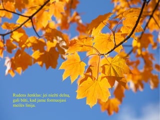 Rudens ženklas: jei niežti delną,
gali būti, kad jame formuojasi
meilės linija.
 