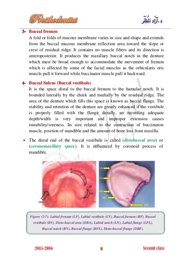 Complete denture prosthodontics 2016