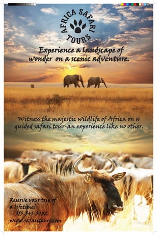 Experience a landscape of
       wonder on a scenic adventure.




  Witness the majestic wildlife of Africa on a
 guided safari tour-an experience like no other.




Reserve your trip of
a lifetime!
   555-543-5432
www.safaritours.com
 