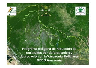 Programa indígena de reducción de
    emisiones por deforestación y
degradación en la Amazonia Boliviana-
                           Boliviana-
          REDD Amazonía
 