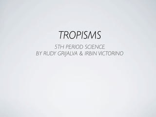 TROPISMS
      5TH PERIOD SCIENCE
BY RUDY GRIJALVA & IRBIN VICTORINO
 