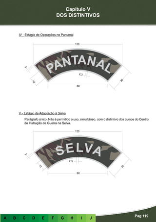 Capítulo V
DOS DISTINTIVOS
Pag 119
A B C D E F G H I J
IV - Estágio de Operações no Pantanal
V - Estágio de Adaptação à Selva
Parágrafo único. Não é permitido o uso, simultâneo, com o distintivo dos cursos do Centro
de Instrução de Guerra na Selva.
 
