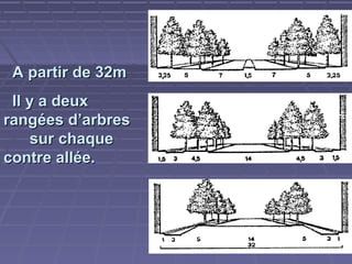 A partir de 32m
Il y a deux
rangées d’arbres
sur chaque
contre allée.

 