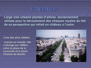 L’AVENUE:
Large voie urbaine plantée d’arbres, anciennement
utilisée pour le déroulement des chasses royales du fait
de sa perspective qui reliait un château a l’autre.

l’une des plus célèbre
avenue au monde, elle
s’allonge sur 1880m,
entre la place de la
concorde et la place
Charles-de-Gaulle .

 