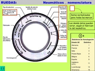 RUEDAS:  Neumáticos _ nomenclatura Datos normalizados para todas las marcar Los demás datos pueden variar, según el fabrican- te del neumático.  Homologación E 2 9 Distintivos de Homologación Estado UE Distintivo Alemania 1 Francia 2 Italia 3 Países Bajos 4 Bélgica 6 España 9 Inglaterra (U.K.) 11 Luxemburgo 13 Dinamarca 18 