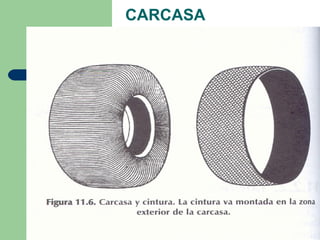 CARCASA
 