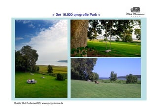 > Der 10.000 qm große Park <




Quelle: Gut Grubnow GbR, www.gut-grubnow.de
 