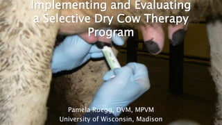 Copyright ©2017 Pamela L. Ruegg, all rights reserved
Implementing and Evaluating
a Selective Dry Cow Therapy
Program
Pamela Ruegg, DVM, MPVM
University of Wisconsin, Madison
 