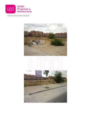 Ruego sobre la limpieza y mantenimiento de los solares