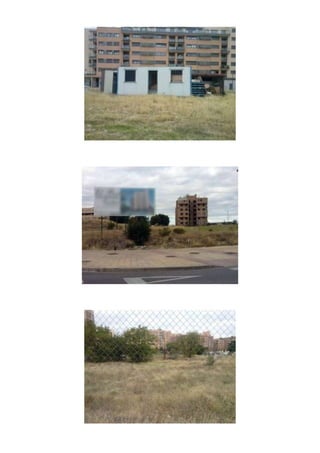 Ruego sobre la limpieza y mantenimiento de los solares